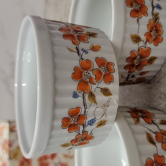 Vintage Saltera Winter Dogwood Japanese Ramekin set new in box - Picture 2 of 9